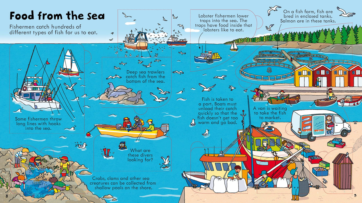 Look Inside Series (4 Books) (8410391314649)