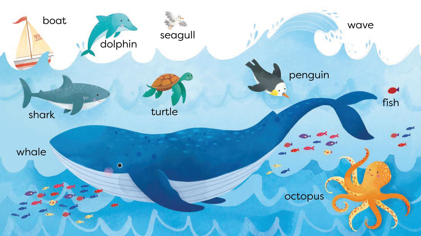 First Concepts +2 years (8410071302361)