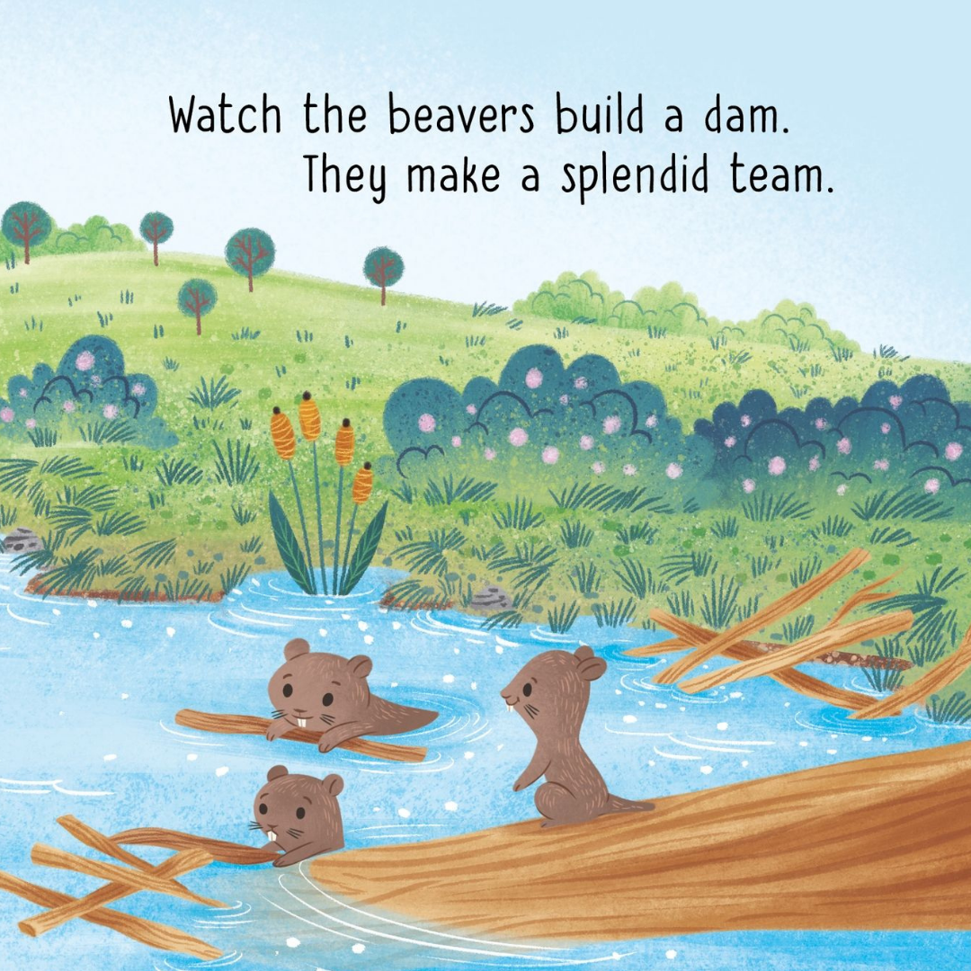 Popular Rhyme Picture Books (+2 years) (8410200637657)