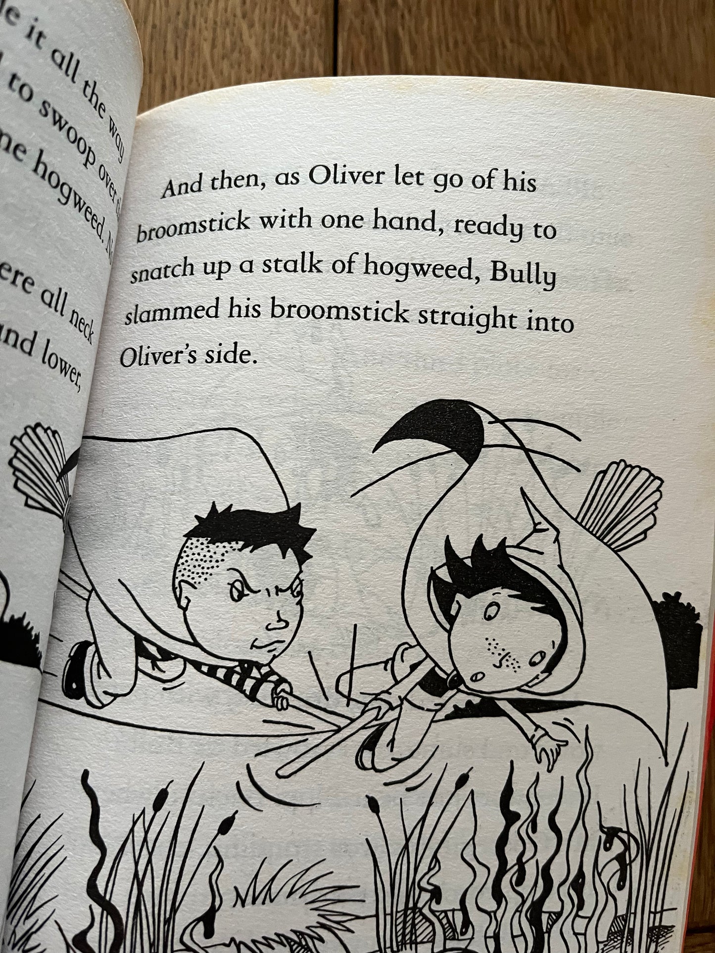 Copy of Set of 4 books (8316974596313)