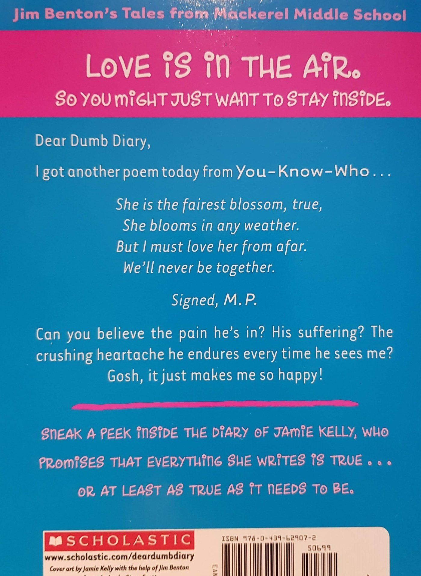 3 Books set : Dear Dumb Diary Like New, 9-12 Years Recuddles.ch (7071892930745)