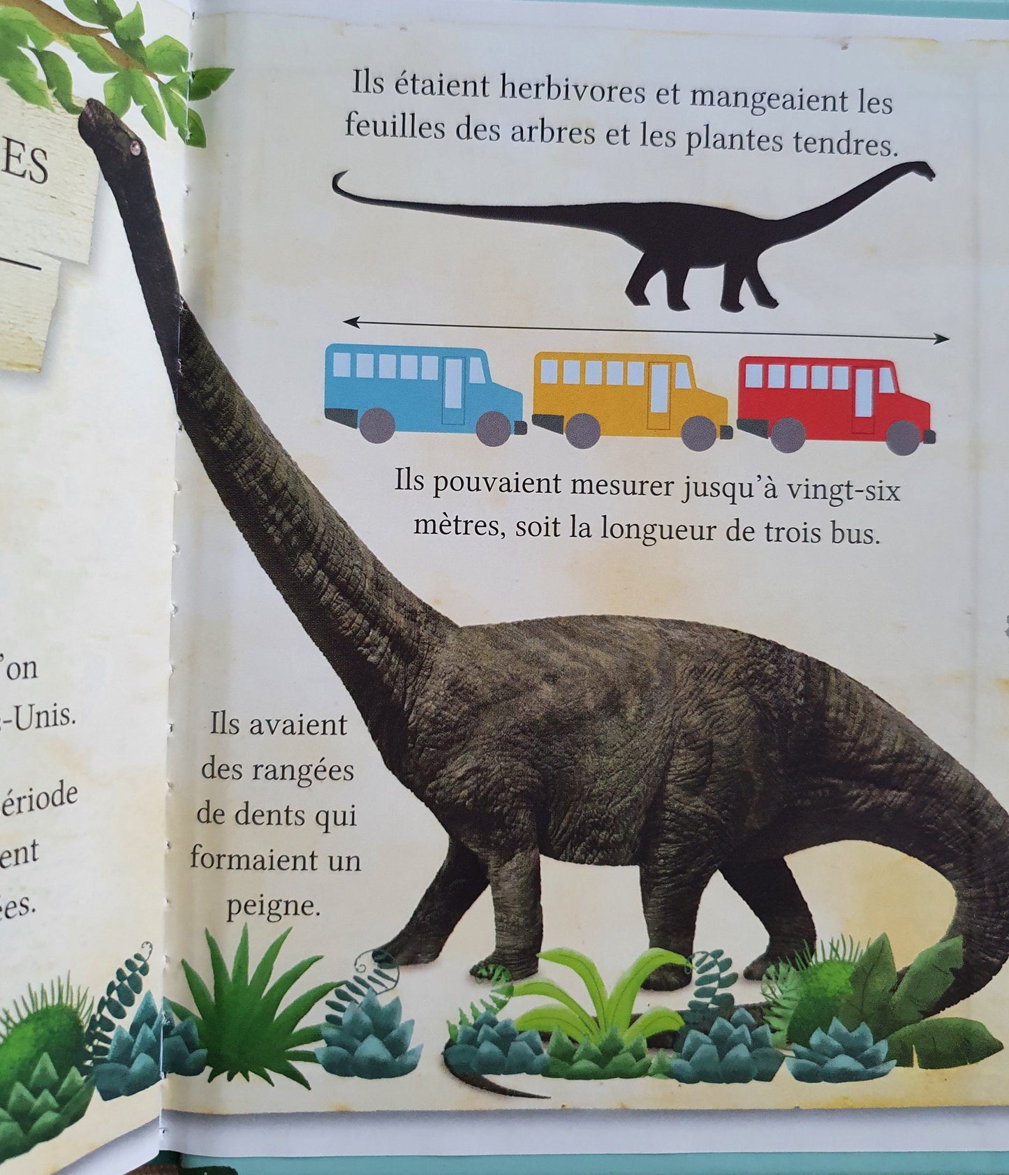 3 Livre : Les Adventures Des Jumeaux Cimeon Like New Not Applicable (4613604835383)