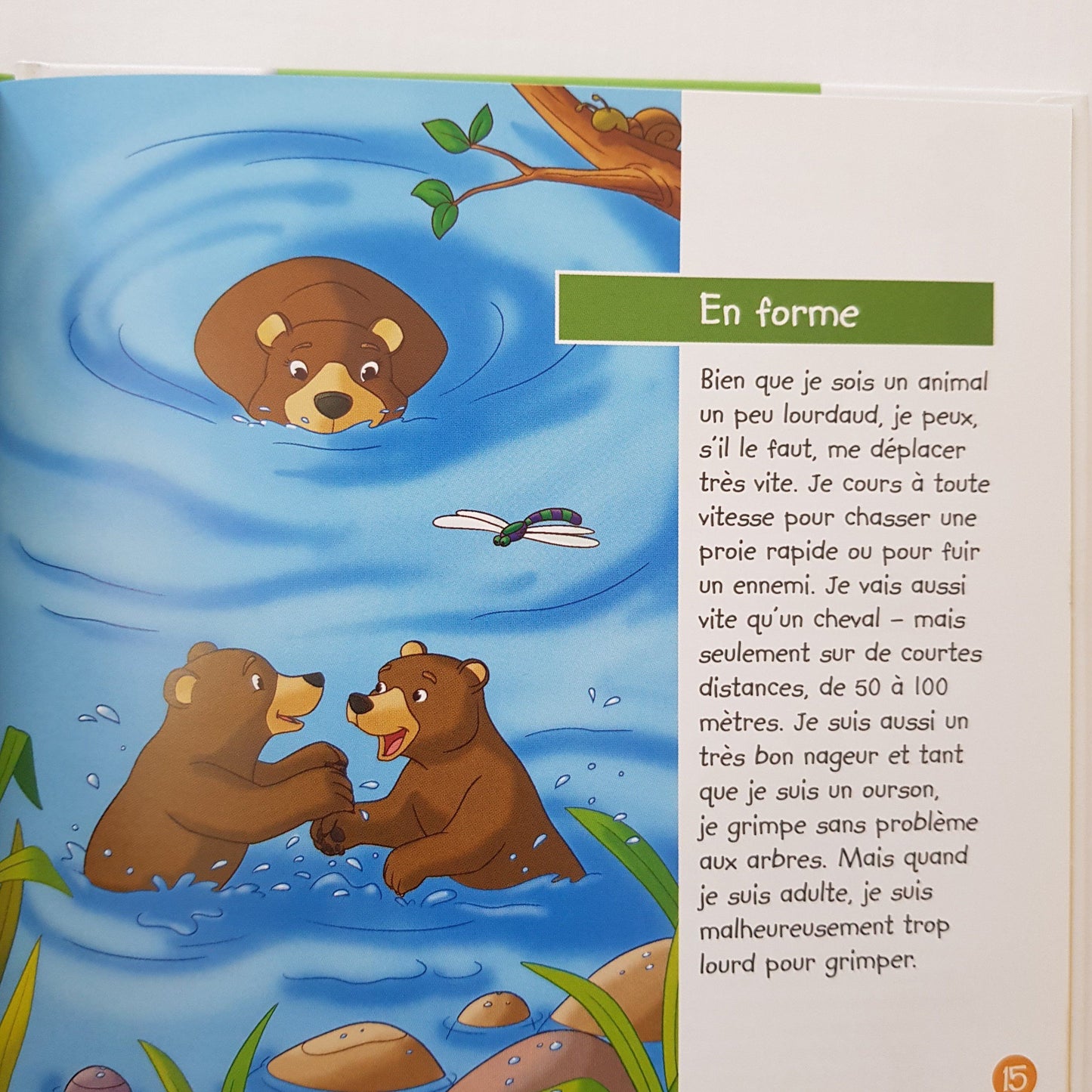 3 Livres: J'habite à l'orée de la forêt, l'écureuil,Je vis dans la forêt l'ours brun,Je vis dans la forêt le cerf Like New Not Applicable (4593241980983)