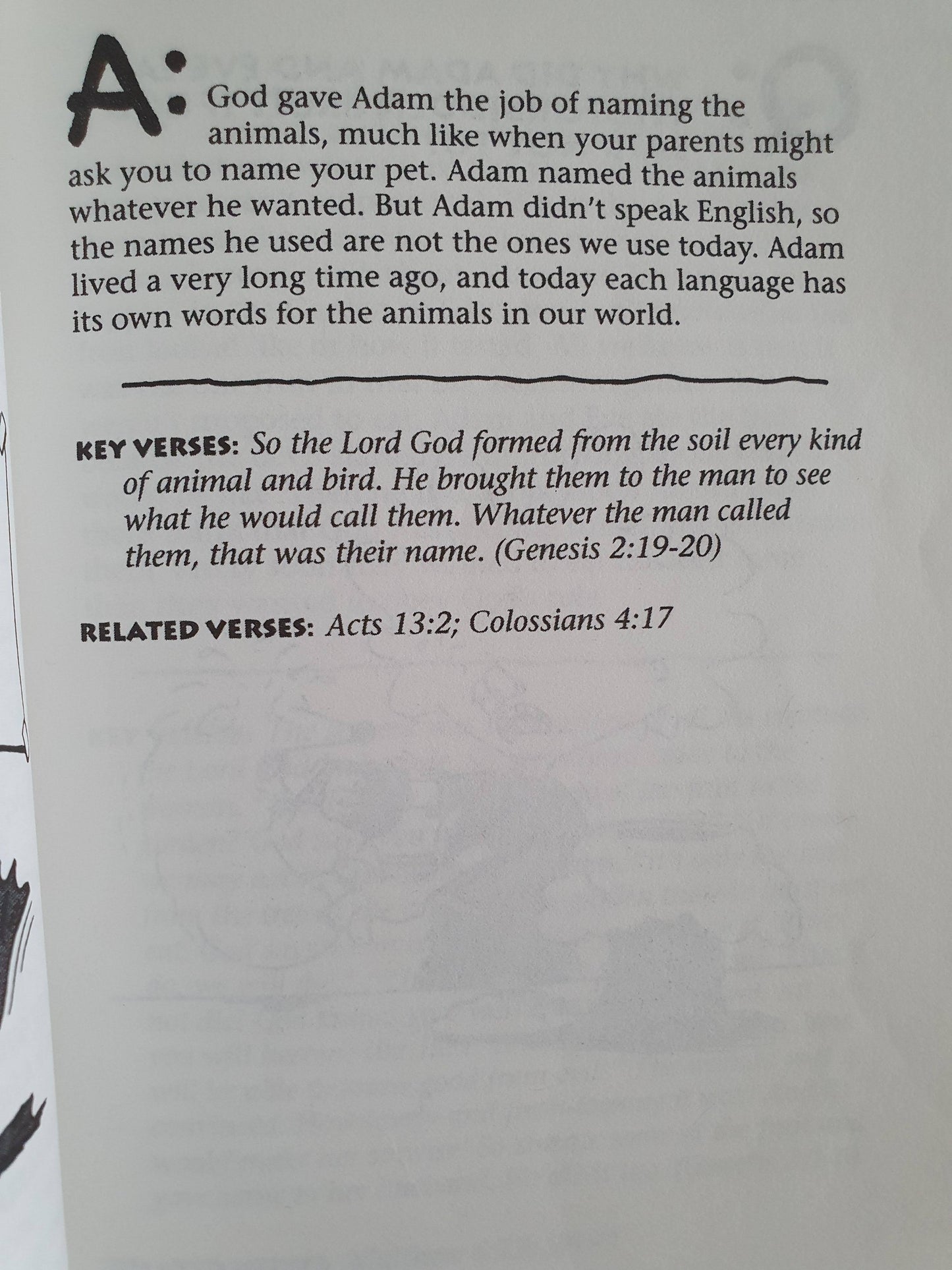 Amazing Questions Kids Ask About GOD Like New Recuddles.ch (6097249239225)
