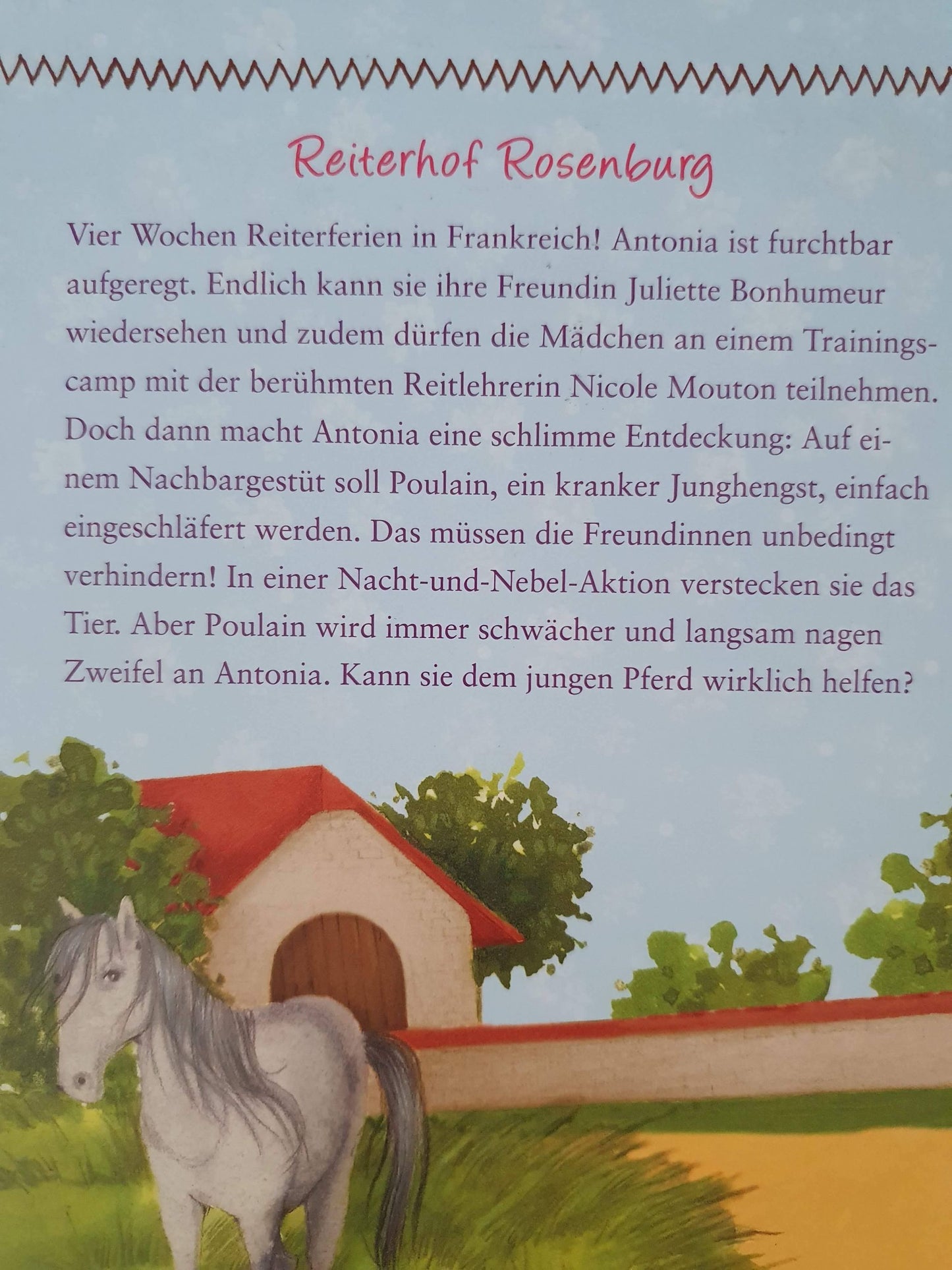 Antonia Aufregung im Reitercamp Like New Not Applicable (4607836880951)