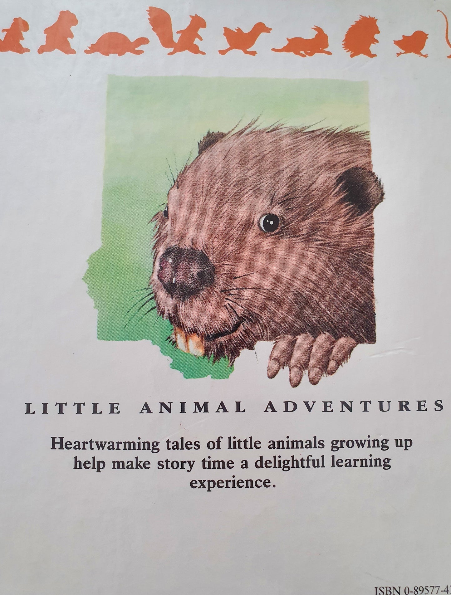 Beaver Gets Lost Like New, 3-6 Yrs Recuddles.ch (6688598425785)