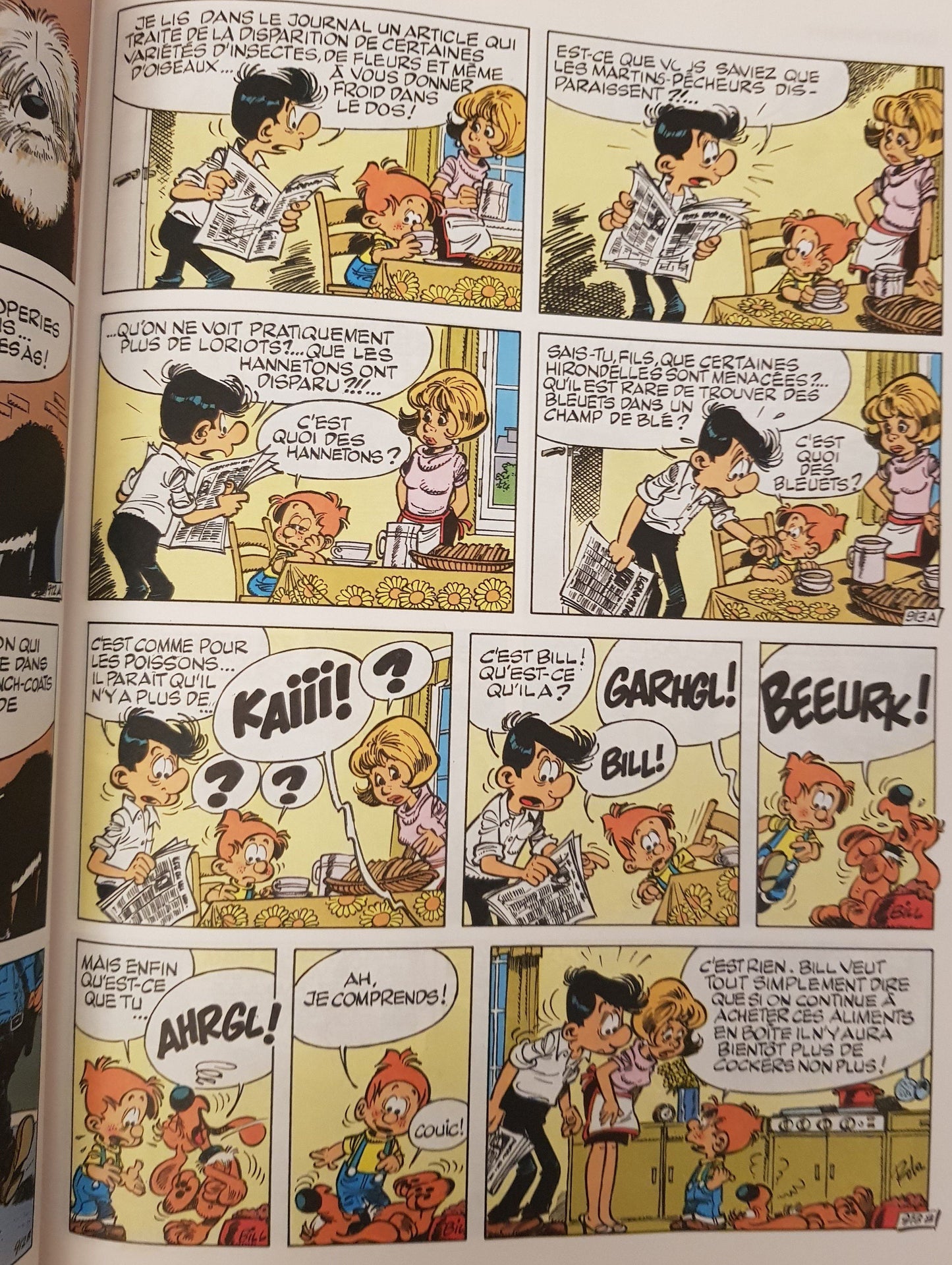 Bill Nom D'un Chien! (15) Very Good Boule & Bill (4620661555255)