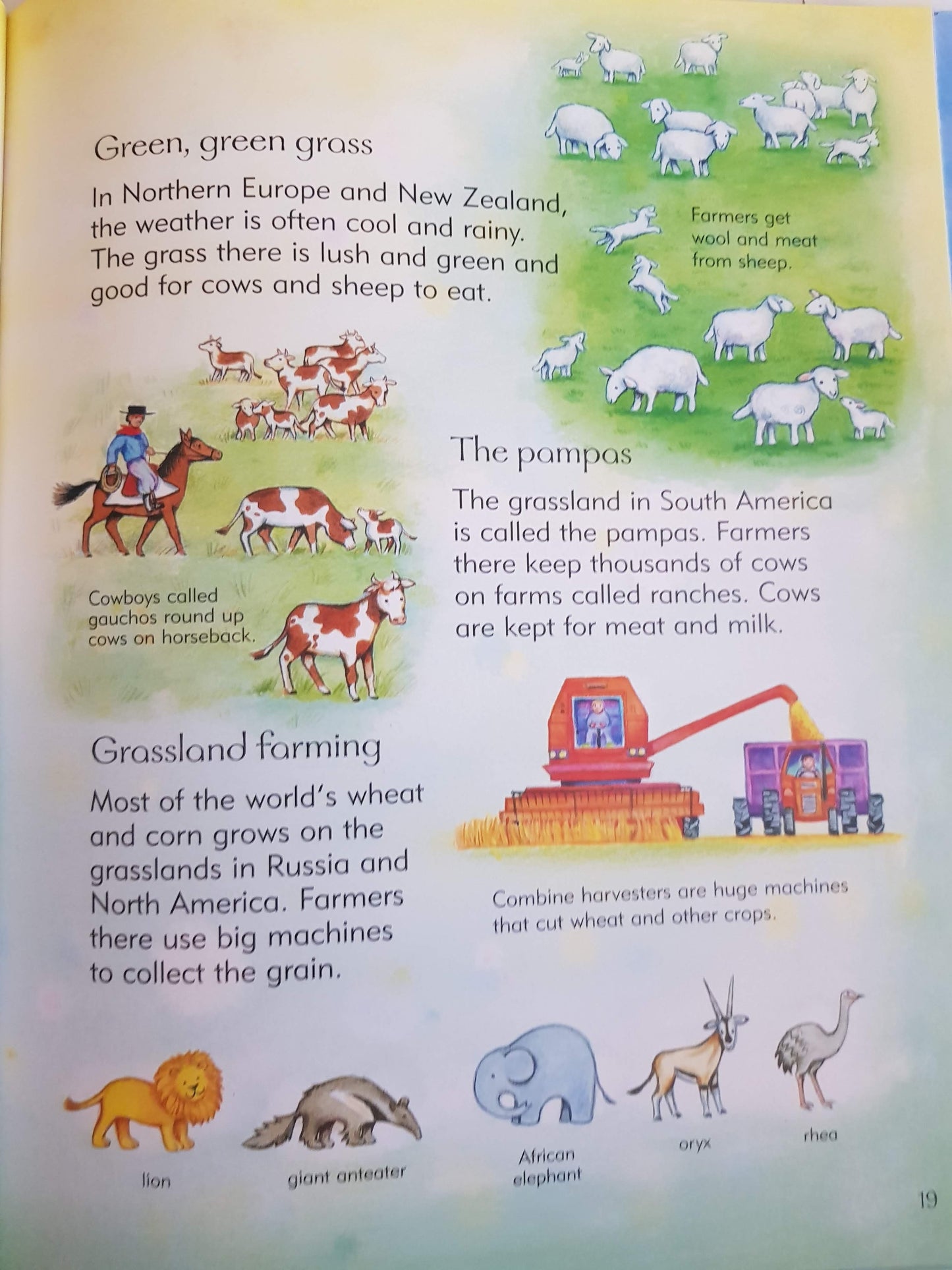 Children's Picture Atlas Like New,English usborne (6088029077689)