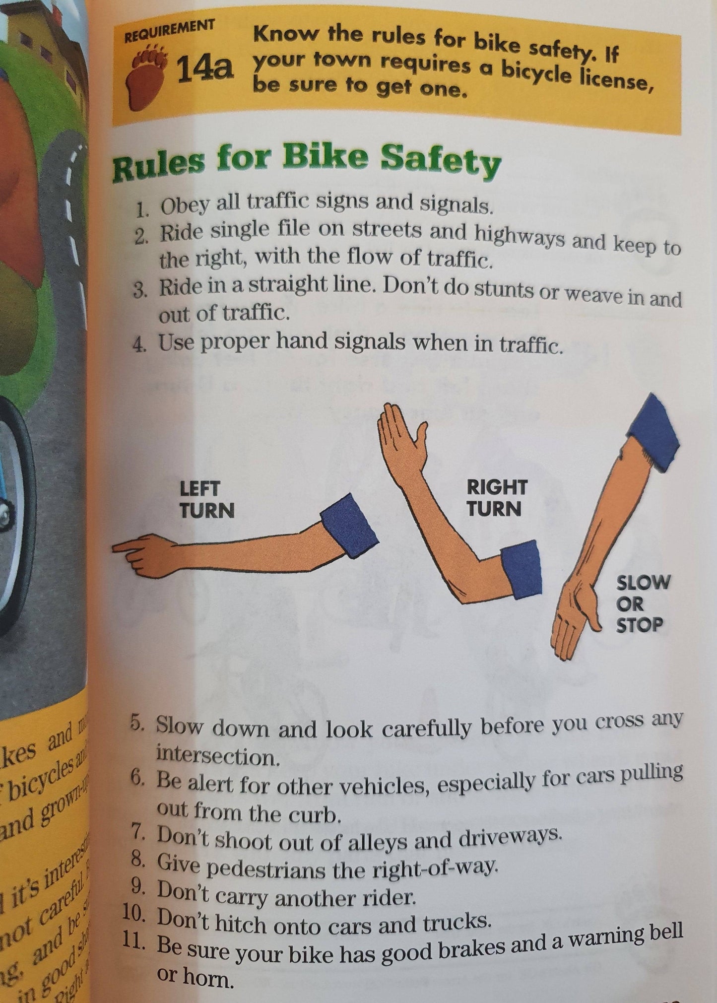 Cub Scott Bear Handbook Like New Recuddles.ch (4630753837111)