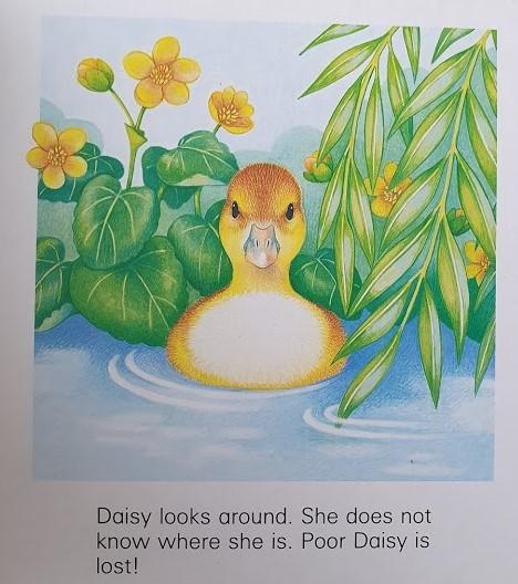 Daisy is Lost Very Good,0+Yrs Recuddles.ch (6335969657017)