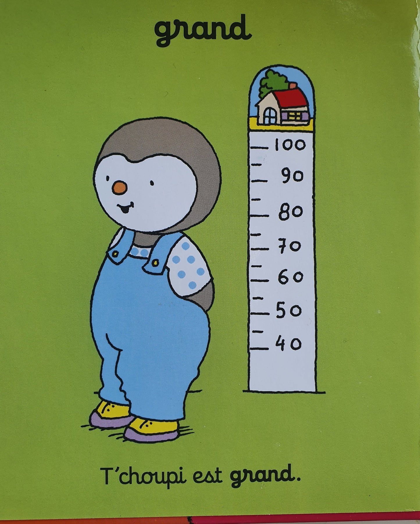 decowre les Contraires Very Good T'Choupi (6954493968569)