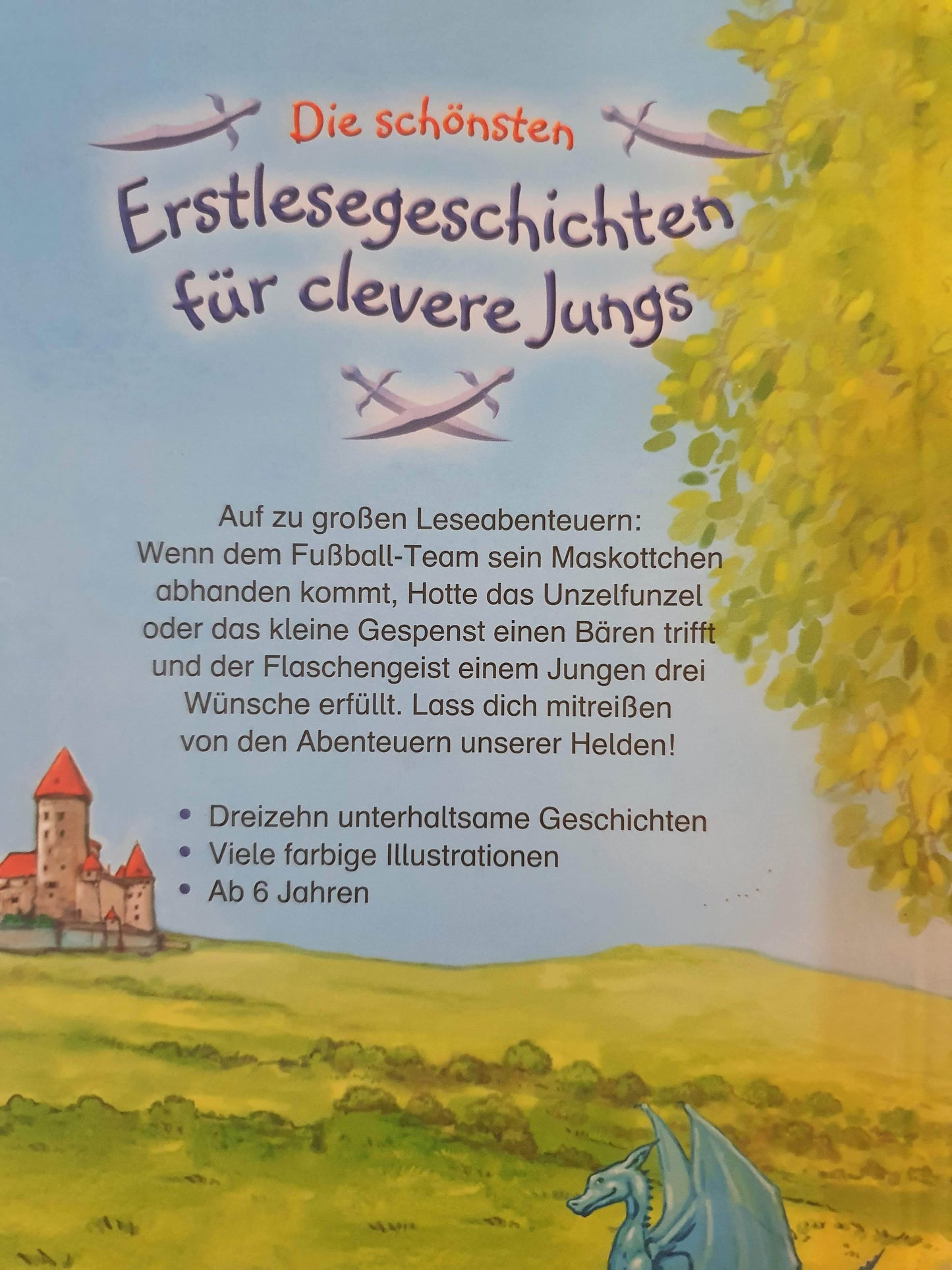 Erstlesegeschichten für clevere Jungs Like New Recuddles.ch (4630753247287)