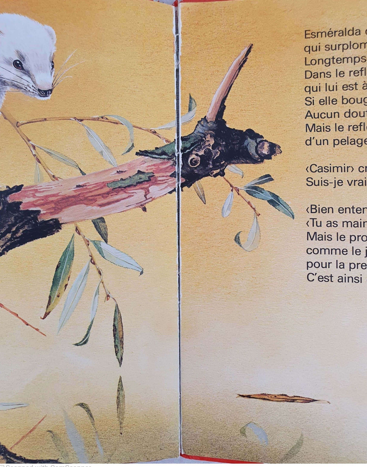 ESMERALDA - Livre pour Enfants Very Good Not Applicable (6075335540921)