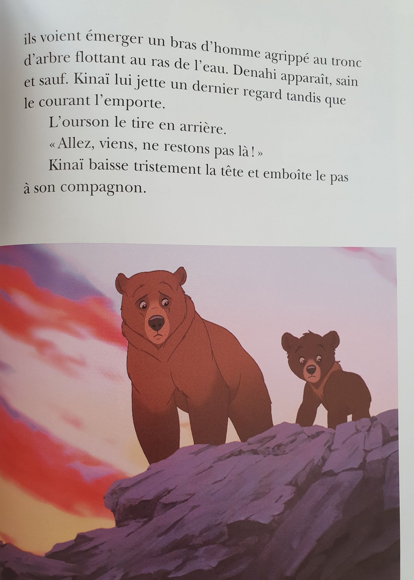 Frère Des Ours Like New Disney (4598533357623)