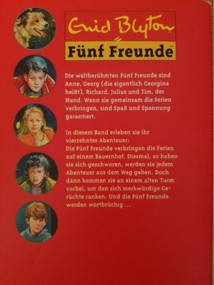Fünf Freunde verfolgen die Strandräuber Like New Enid Blyton (4627979501623)