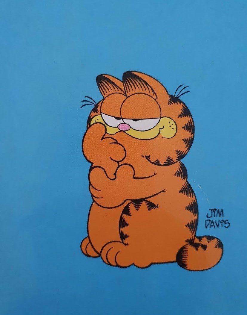 Garfield-What's Cooking? Like New Recuddles.ch (6162369315001)