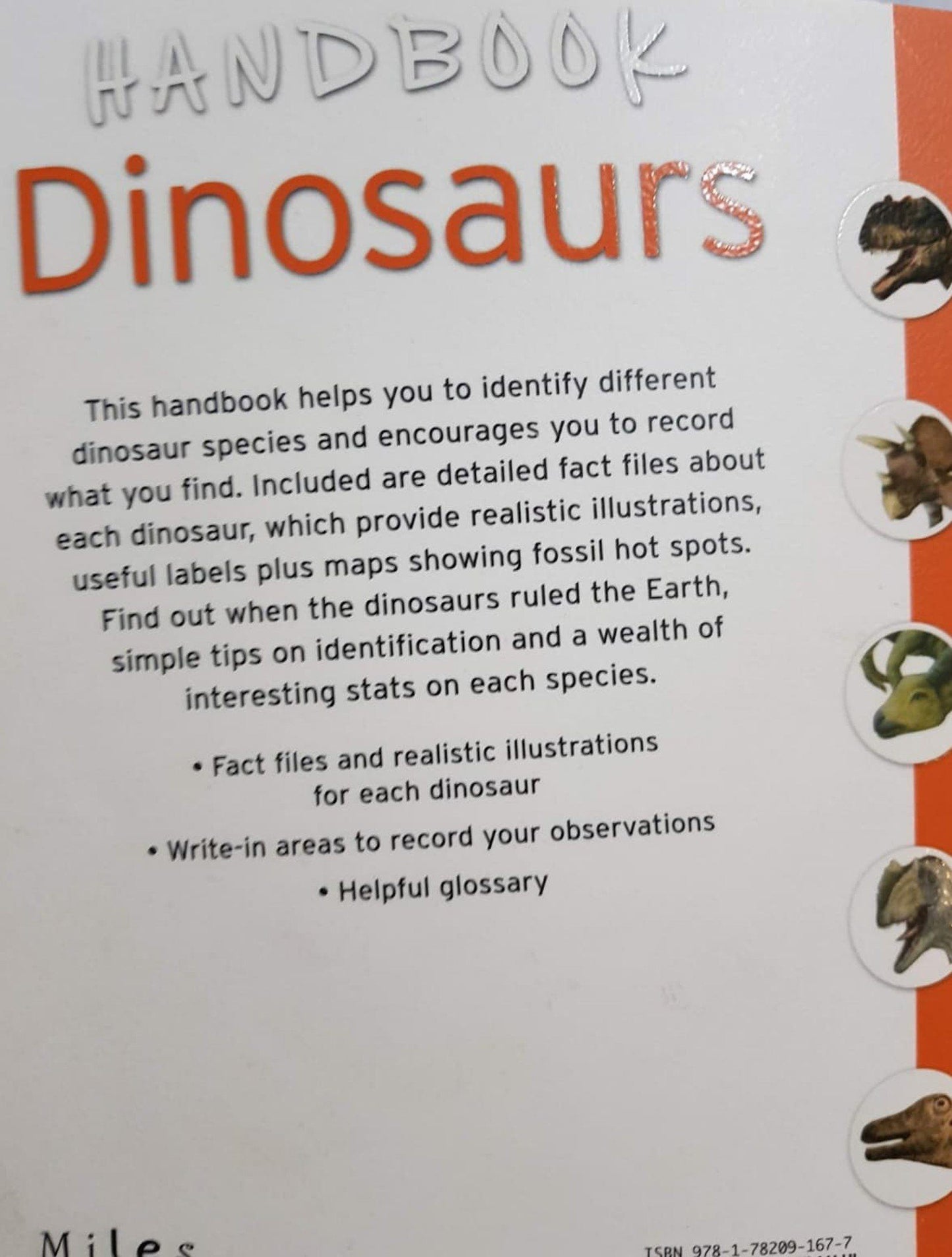 Handbook DINOSAURS Very Good, 8+ Yrs Recuddles.ch (6706330960057)
