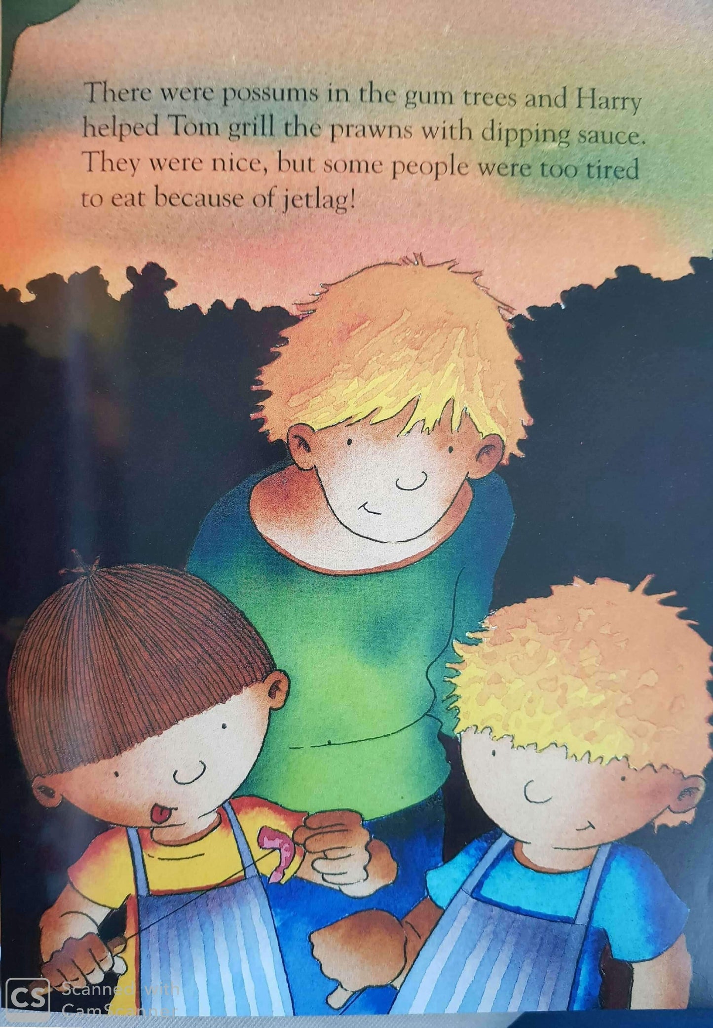 Harry and the Dinosaurs go on Holiday Like New Not Applicable (4613450465335)