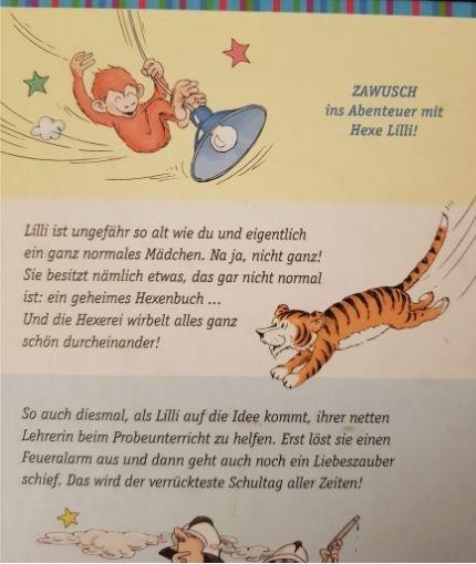 Hexe lilli stellt die Schule auf den Kopf Like New Recuddles.ch (4627979206711)
