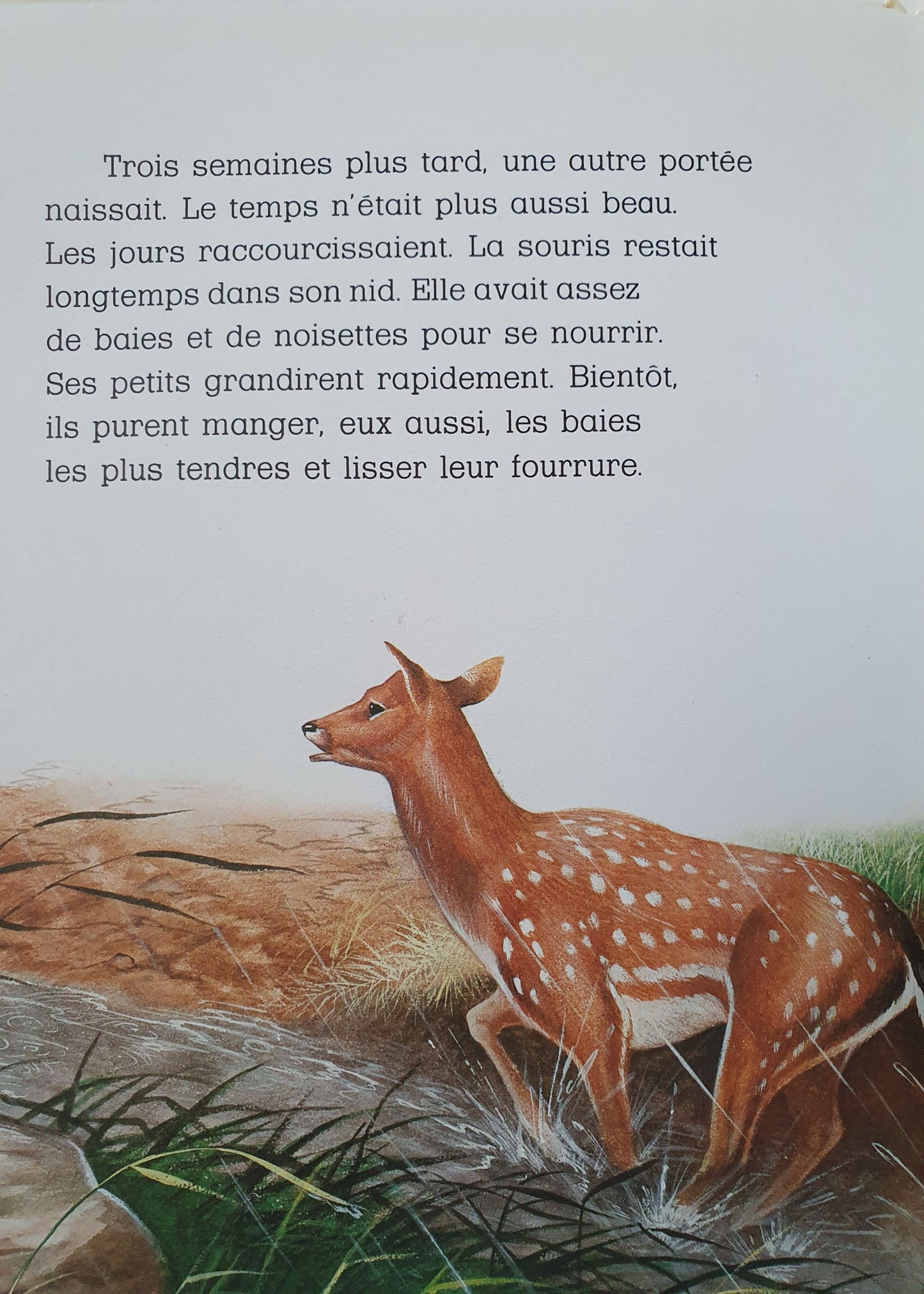 Histoire d'une petite souris Like New Not Applicable (4597648850999)