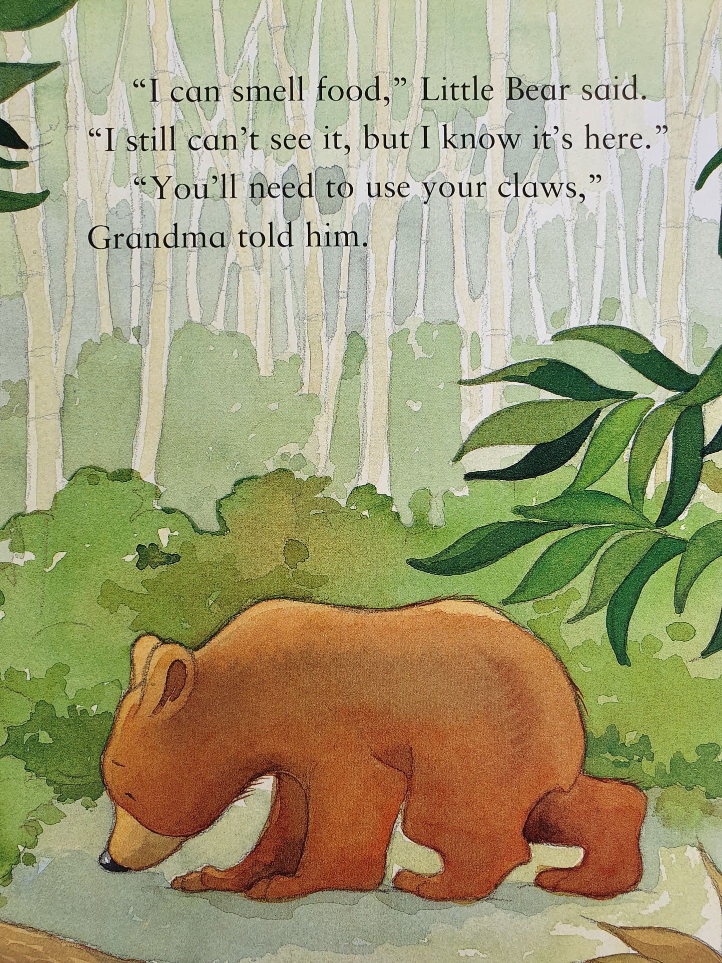 I Love You,Grandma Like New Not Applicable (4603216822327)