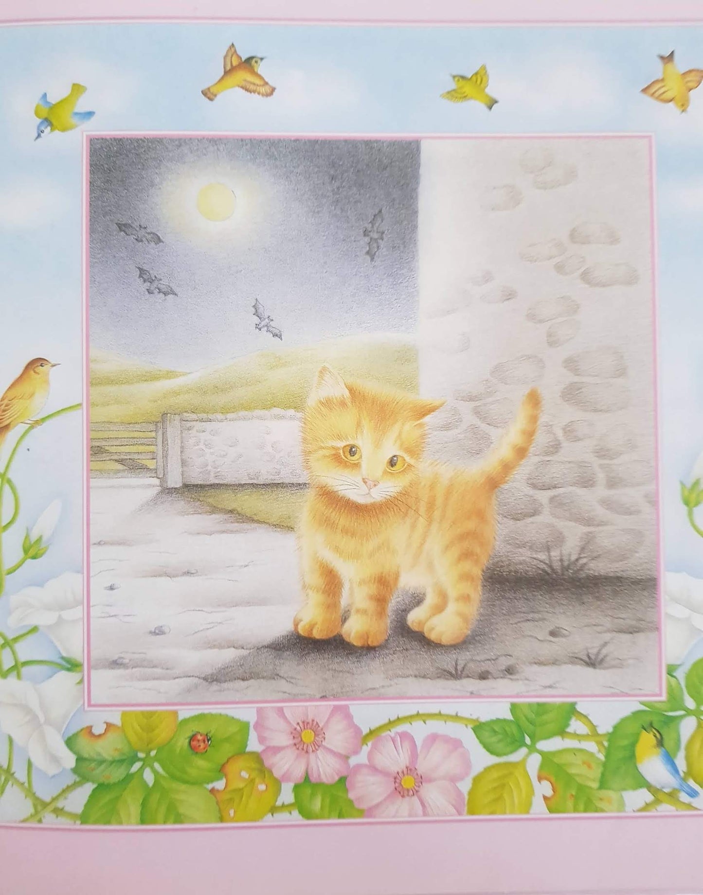 KITTENS Like New Recuddles.ch (6149126815929)