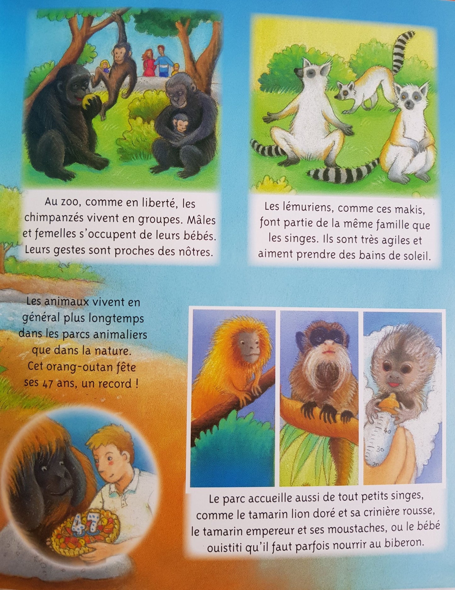 La petit imagerie - Le zoo Like New Not Applicable (4605664231479)