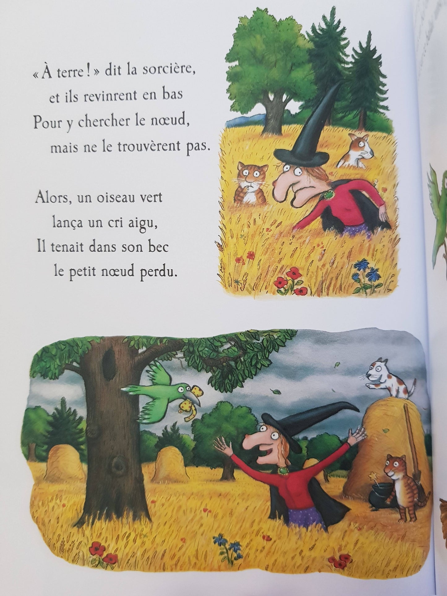 La Sorcière dans les airs Like New Not Applicable (4593185194039)