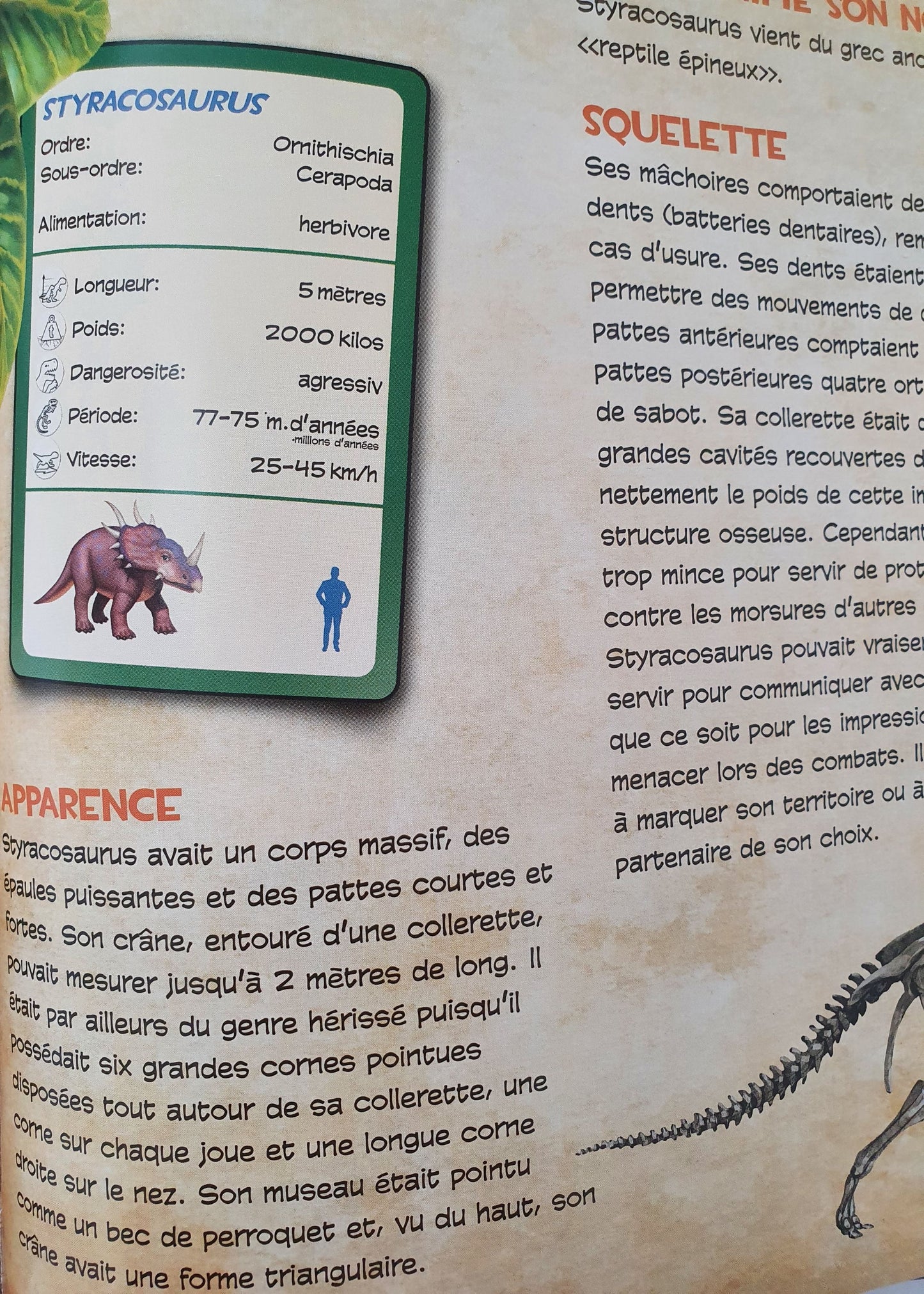 L'album Des Dinosaures Animanca Découvre Le Monde Des Dinosaures! Like New Not Applicable (4598533226551)