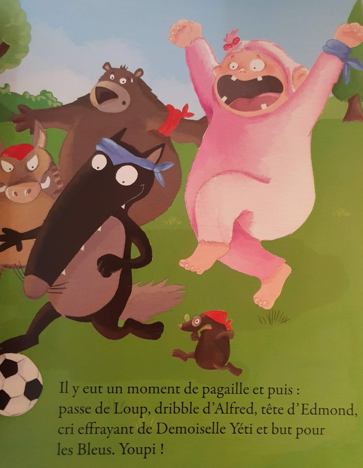 Le loup qui fêtait son anniversaire Like New Recuddles.ch (6071794434233)