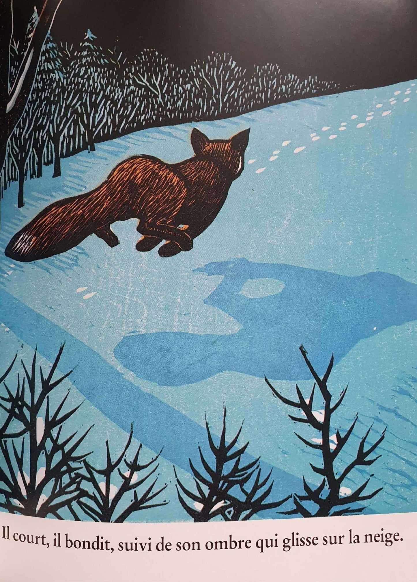 Le Rêve Du Renard Like New Not Applicable (4630312779831)