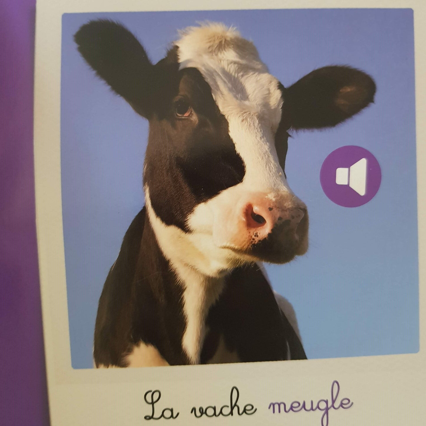 les Animaux de la ferme Very Good Not Applicable (4593185423415)