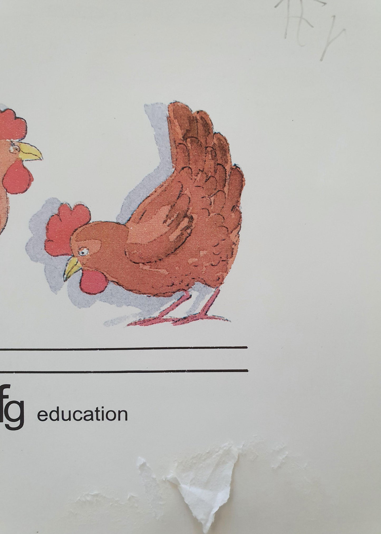 Les Poules De Vincent Histoires a lire Very Good Not Applicable (4597648785463)