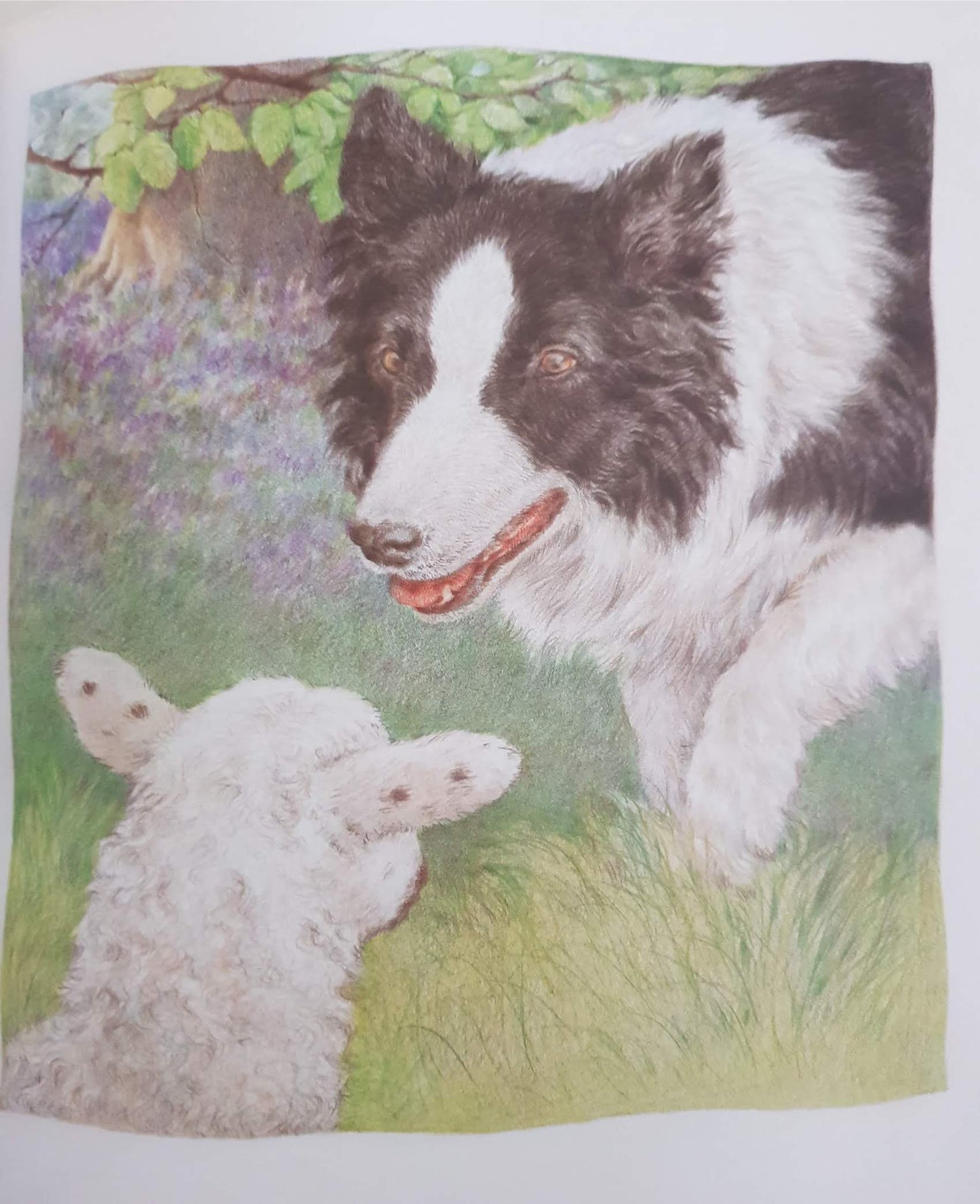 Little Baa Like New Recuddles.ch (6149127241913)