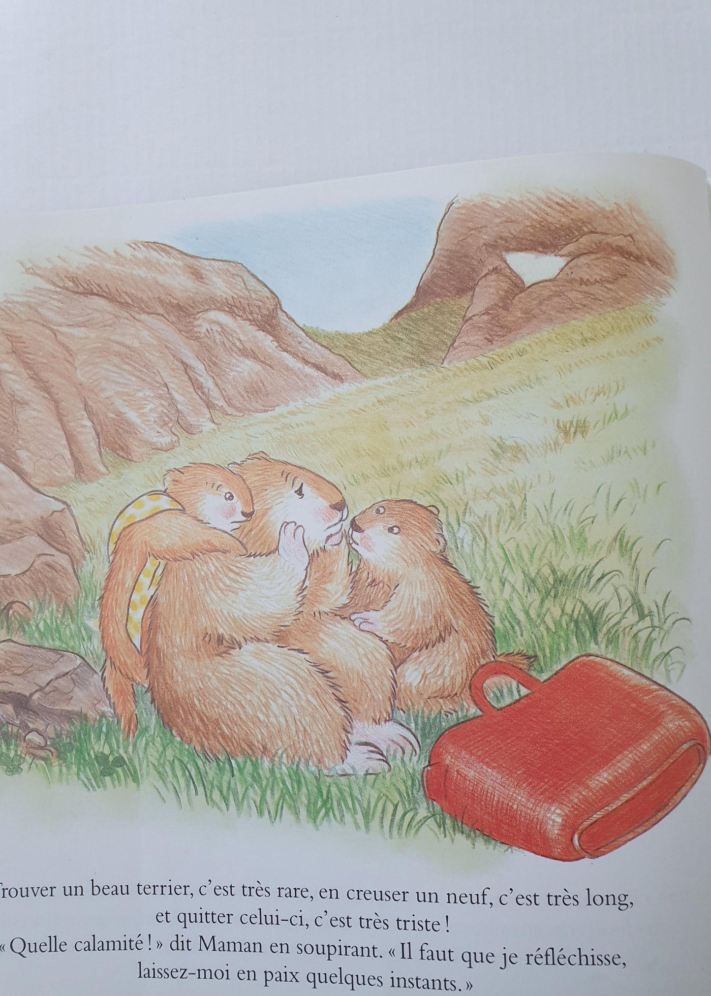 Mariette et Soupir cherchent une maison Like New Not Applicable (4597648916535)