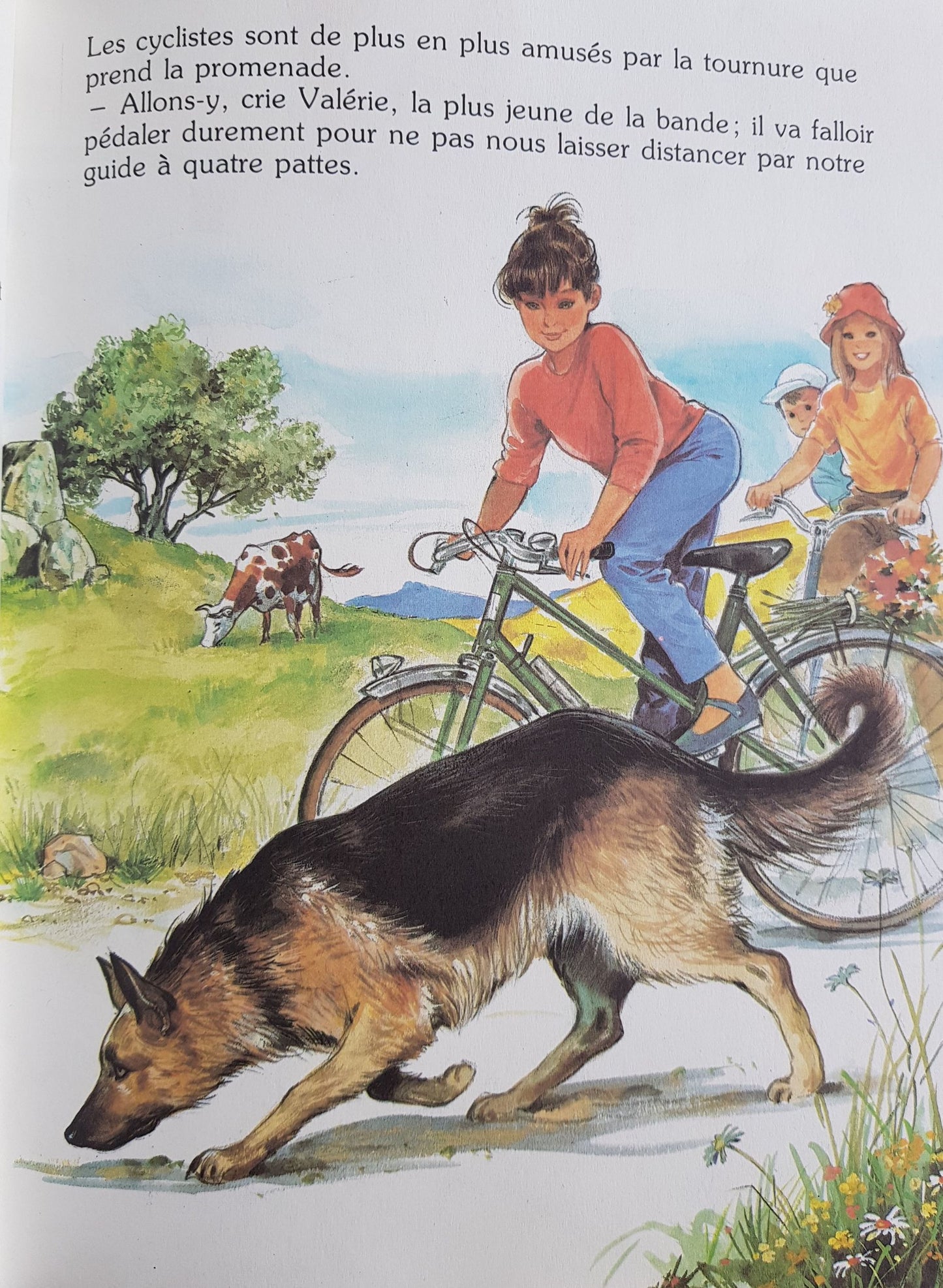 Marjorie et Bucky Like New Not Applicable (4605663936567)