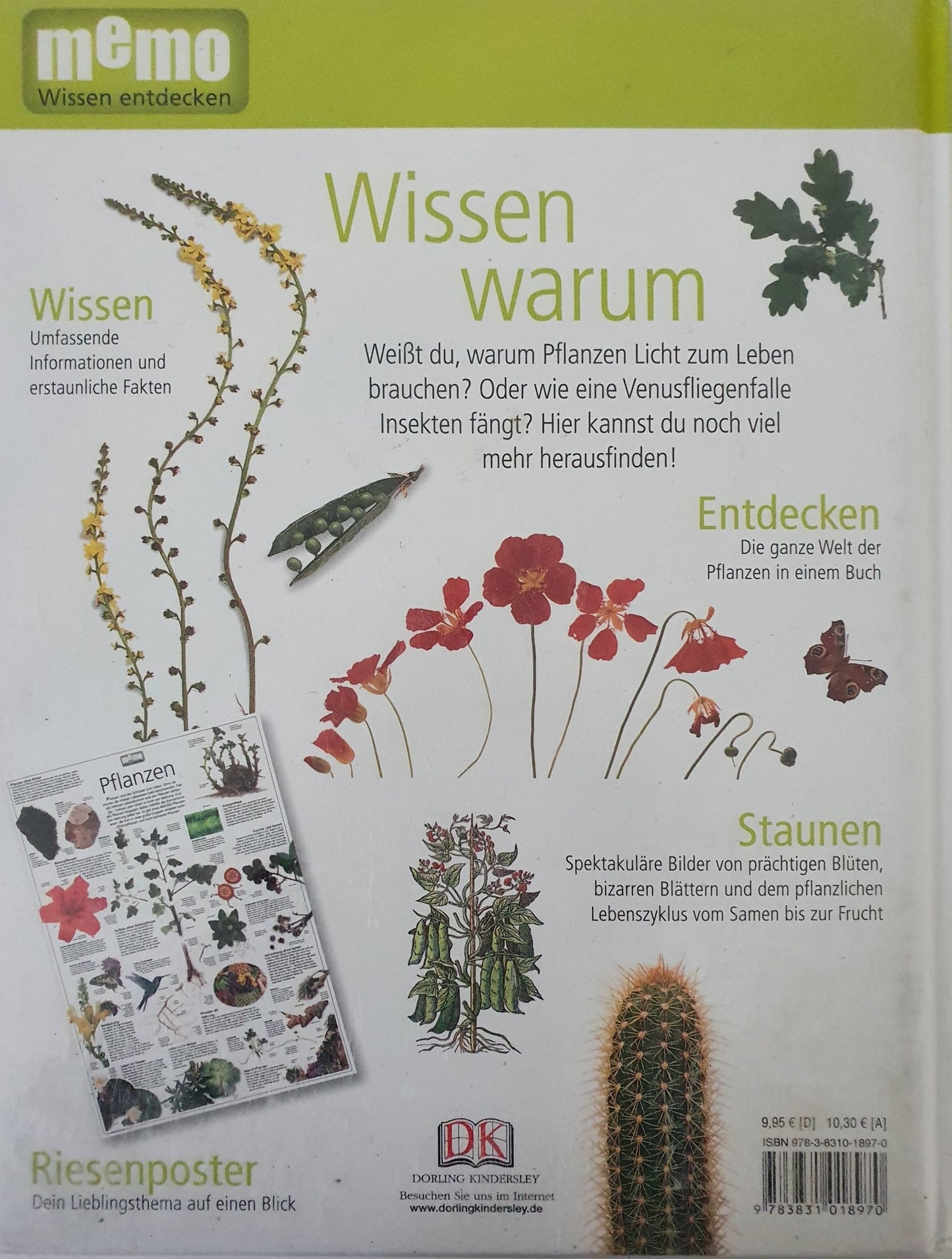 Memo wissen entdecken - Pflanzen Like New Not Applicable (4606867505207)