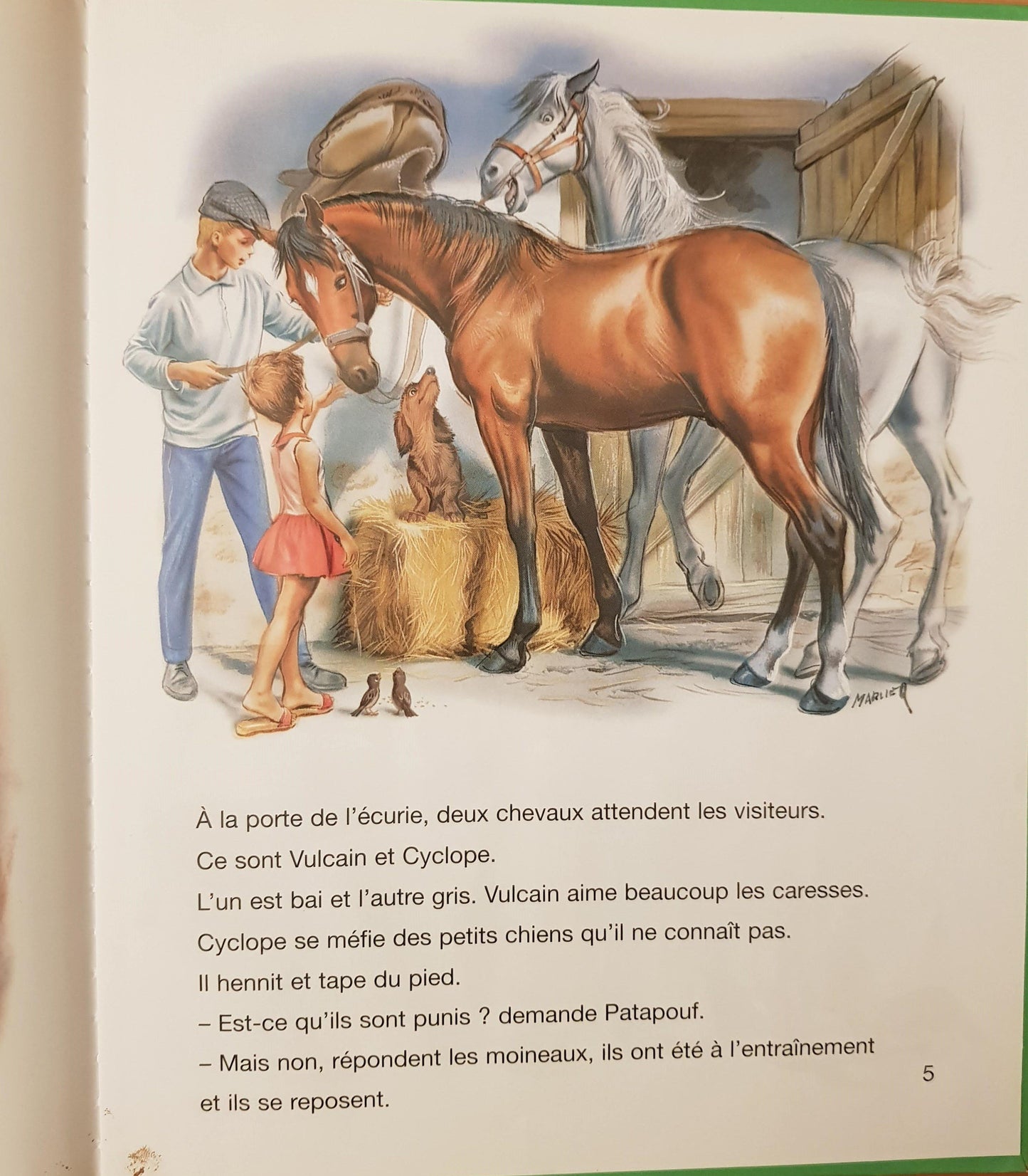 Monté à Cheval Like New Martine (4617713188919)