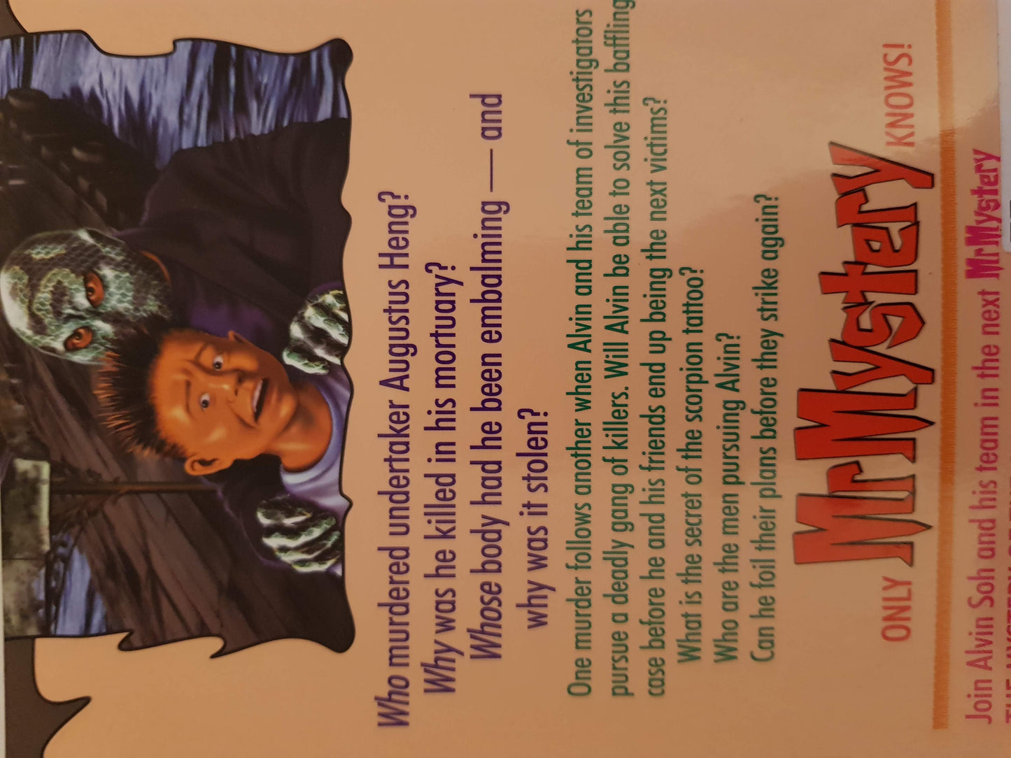 Mr Mystery (13) Like New Mr. Mystery (4621818888247)