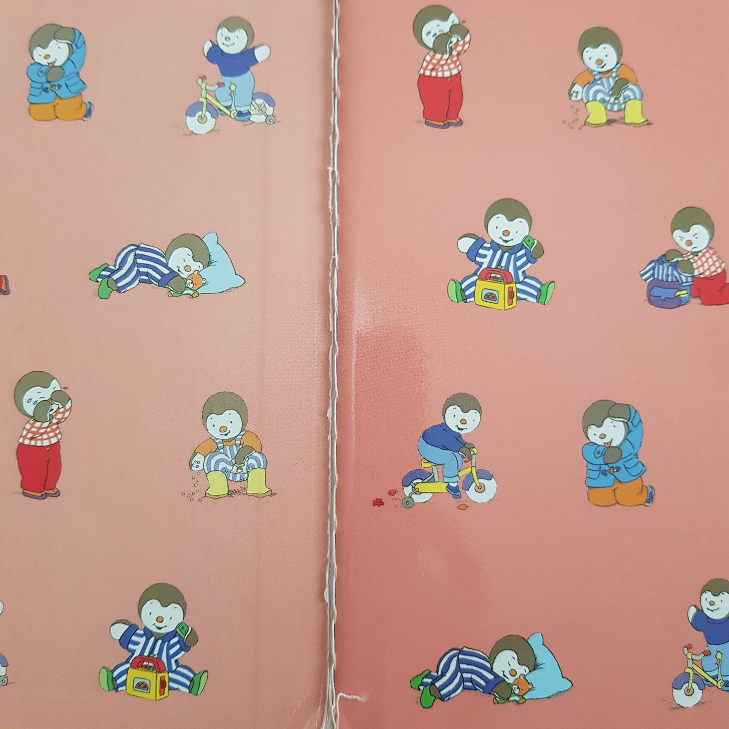 N'a plus Sommeil Well Read T'Choupi (4589908197431)