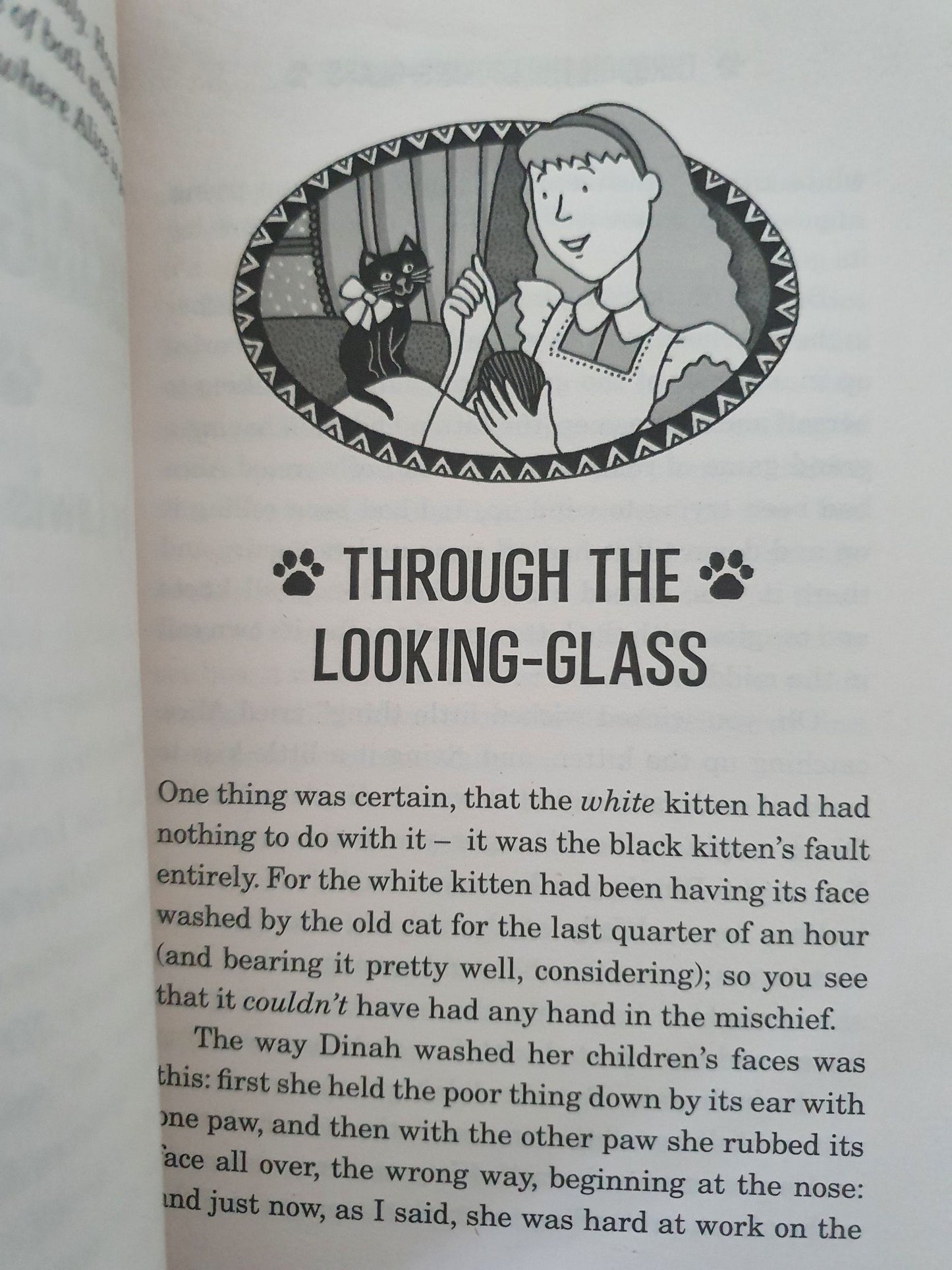 Paws and Whiskers by Jacquiline Wilson Very Good Not Applicable (4602616250423)