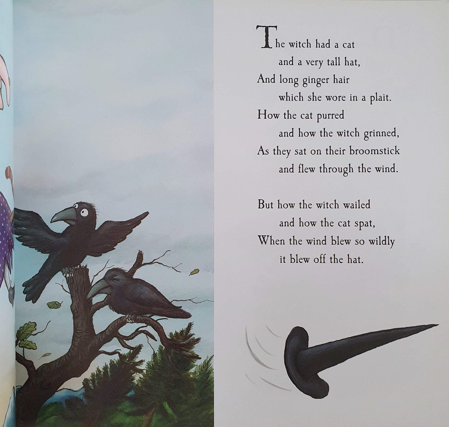 Room on the Broom Like New Julia Donaldson (6095540814009)
