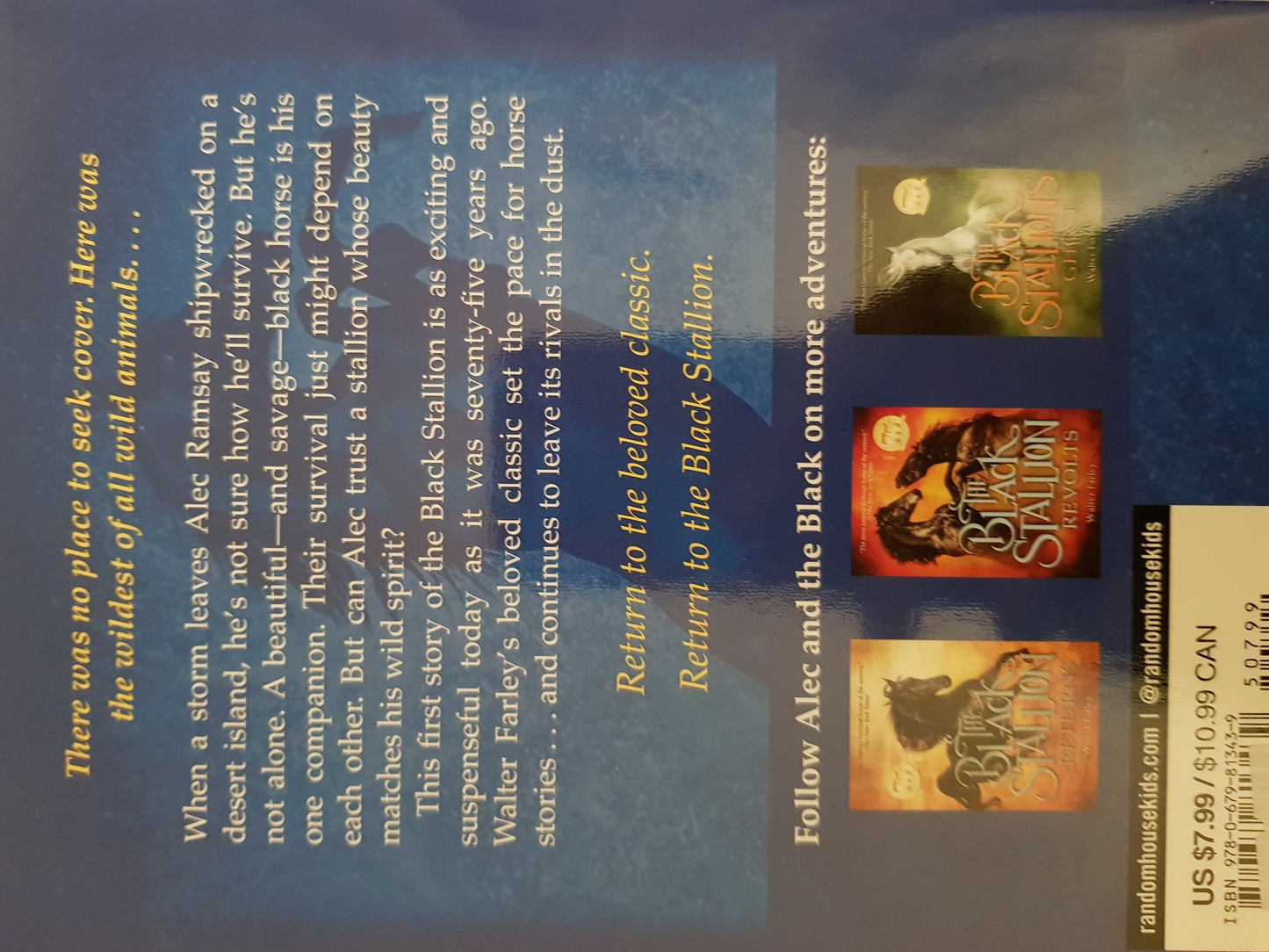 The Black Stallion Like New Recuddles.ch (6049524711609)