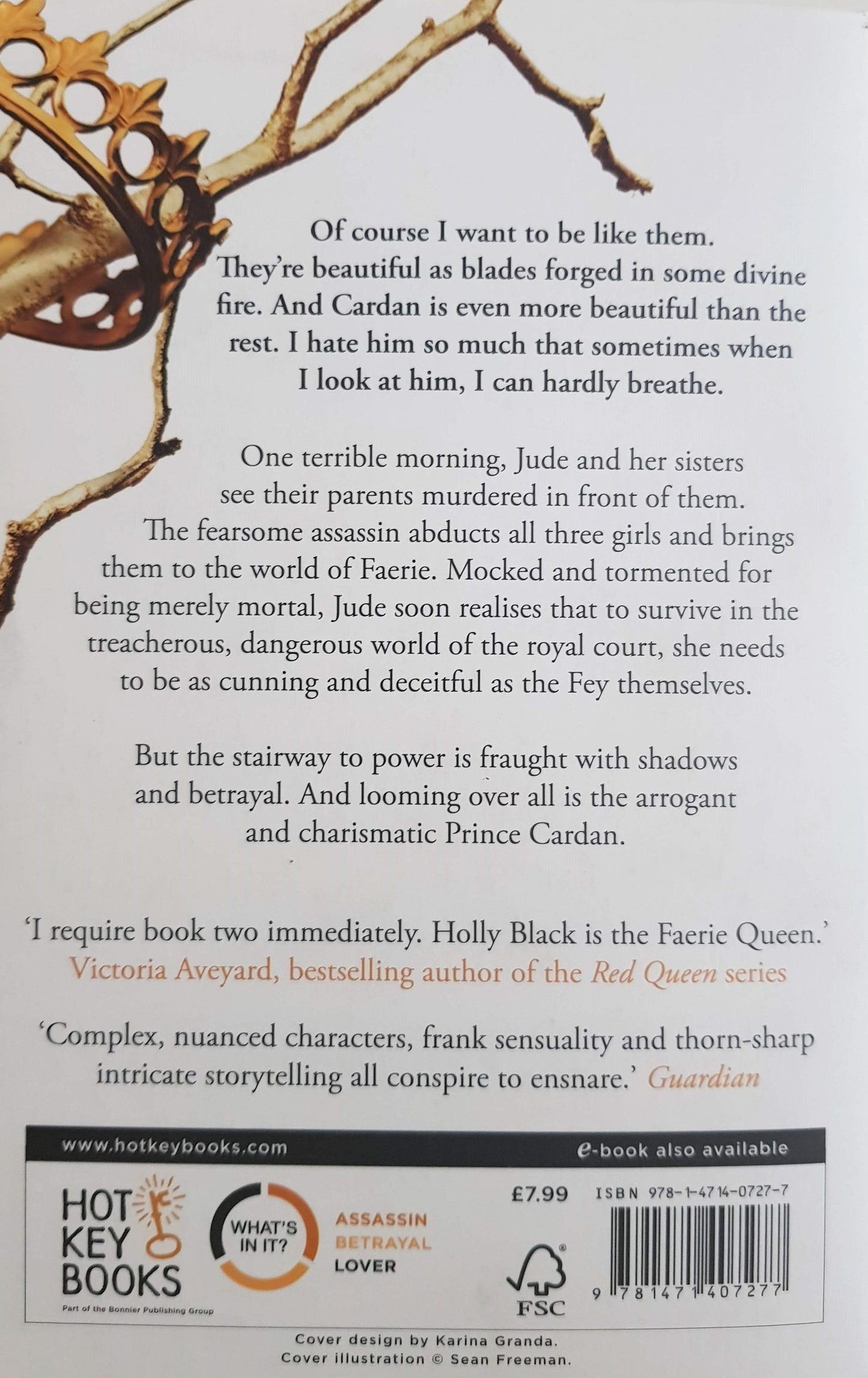The Cruel Prince Like New Holly Black (4630698983479)