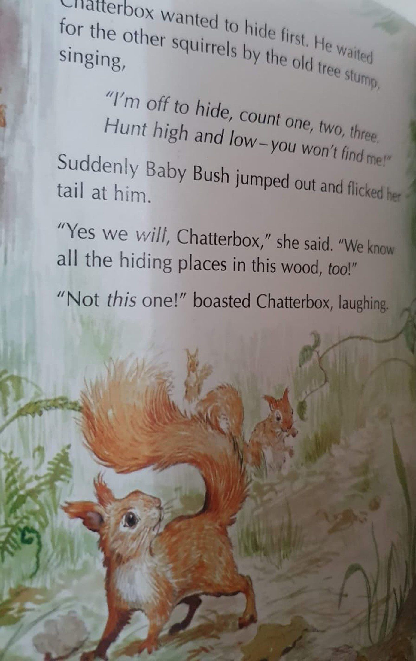 The great Squirrel Hunt Like New Recuddles.ch (6176346996921)