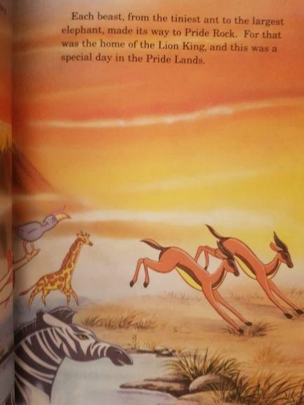 The Lion King Like New Disney (4624871587895)