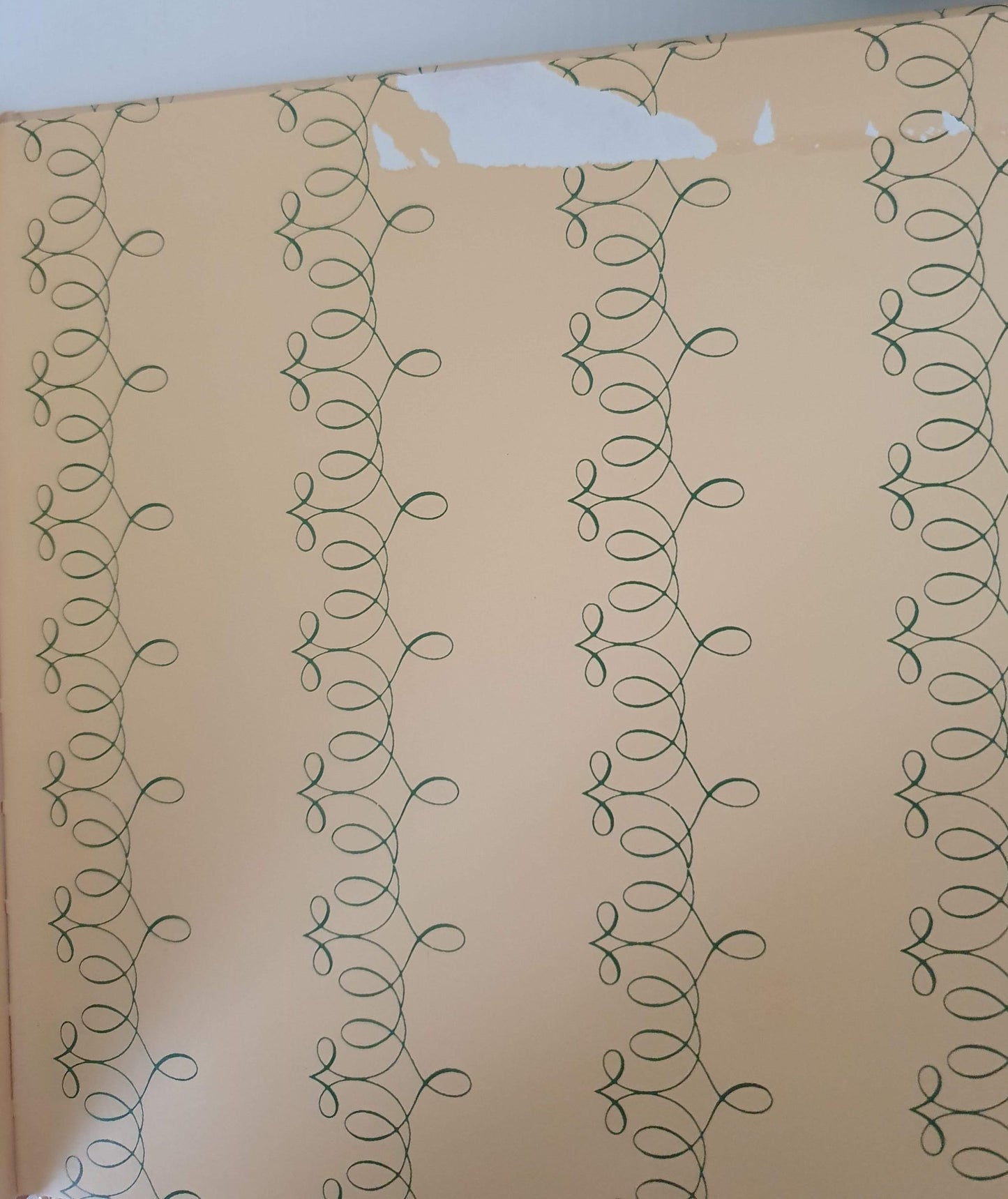 The Nutcracker Like New Not Applicable (4602616283191)