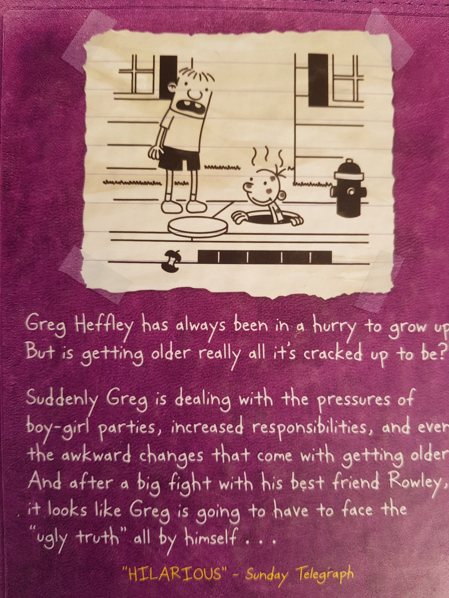 The Ugly Truth Like New Wimpy Kid (4616187215927)