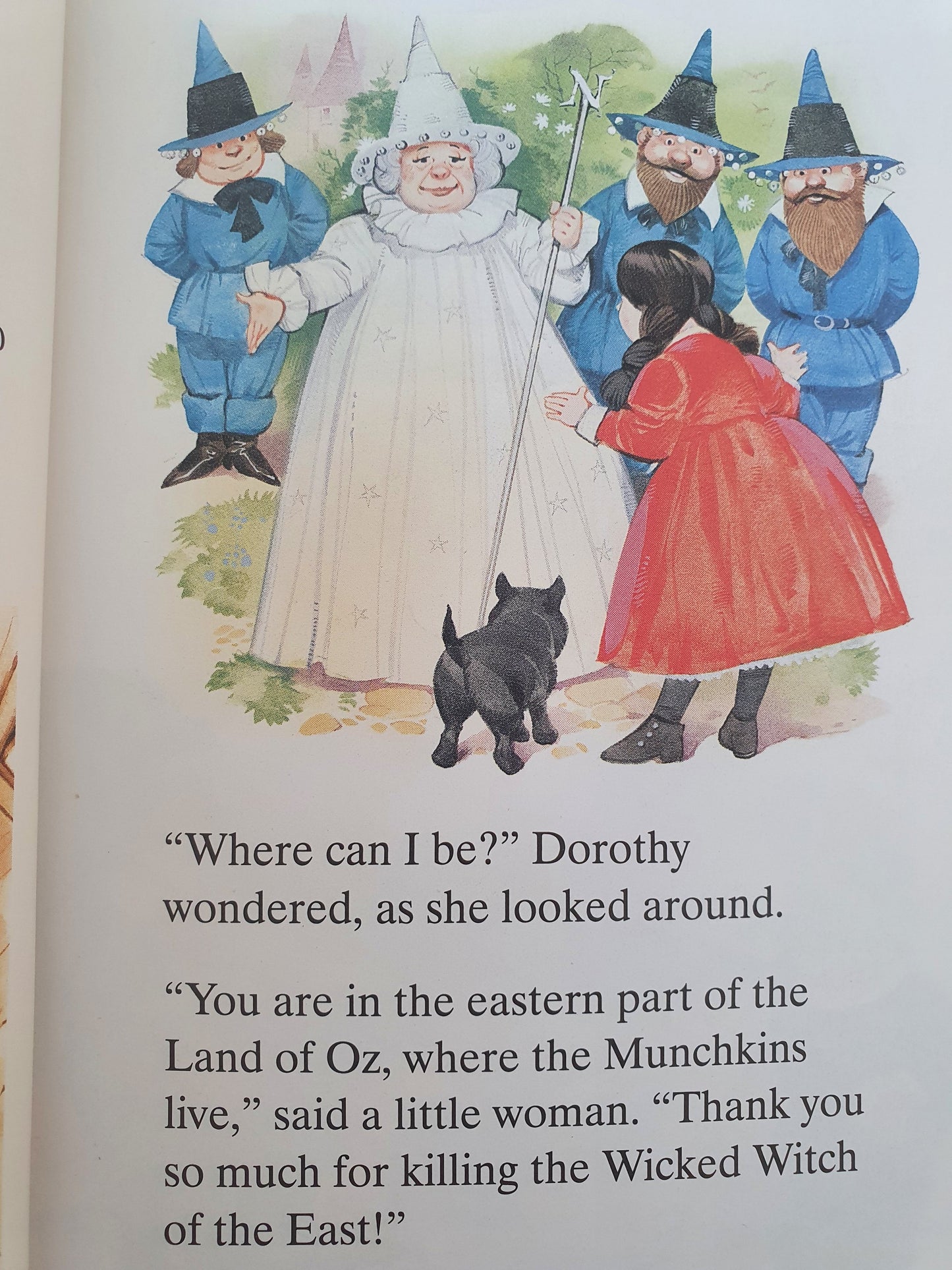 The Wizard of Oz Like New ,0-5 years Ladybird (6639276622009)