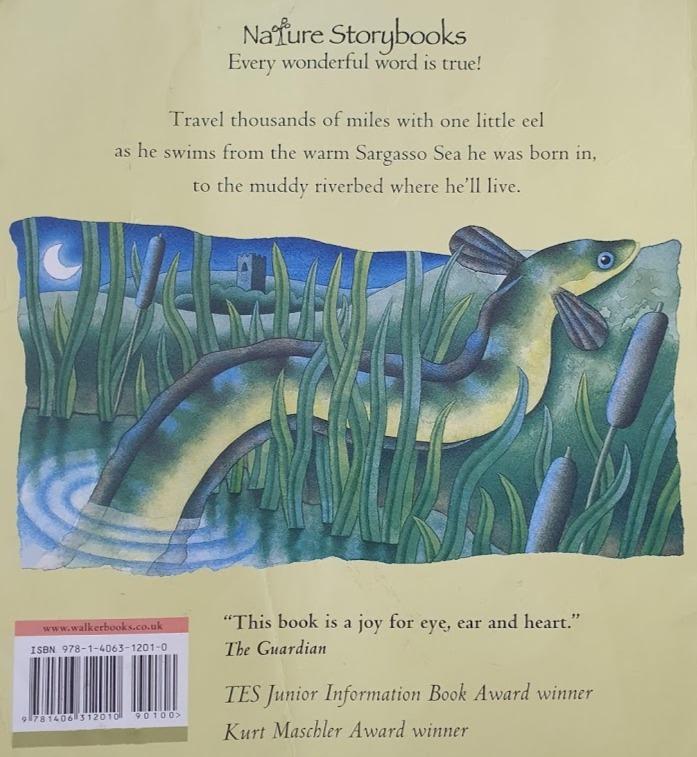 Think of an Eel Well Read Recuddles.ch (6312294580409)